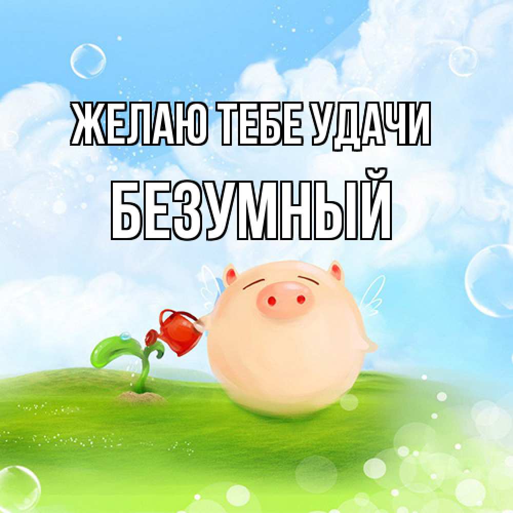Открытка на каждый день с именем, Безумный Желаю тебе удачи поросенок поливает цветок. летнее настроение Прикольная открытка с пожеланием онлайн скачать бесплатно 