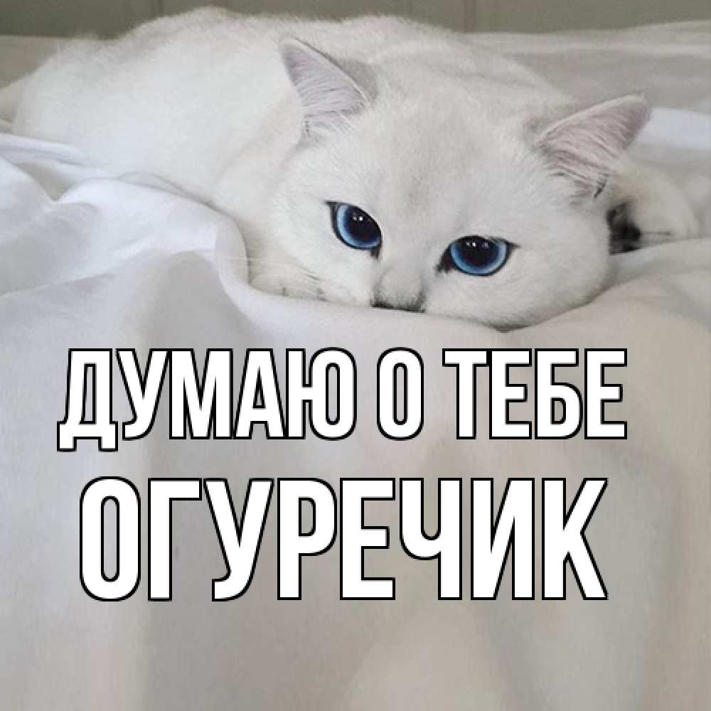 Открытка на каждый день с именем, Огуречик Думаю о тебе я очень по тебе скучаю и тоскую Прикольная открытка с пожеланием онлайн скачать бесплатно 