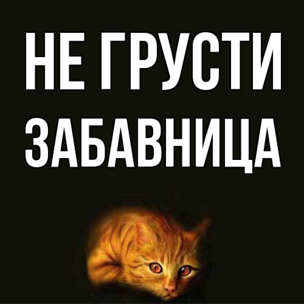 Открытка на каждый день с именем, Забавница Не грусти лежащий кот в темноте Прикольная открытка с пожеланием онлайн скачать бесплатно 
