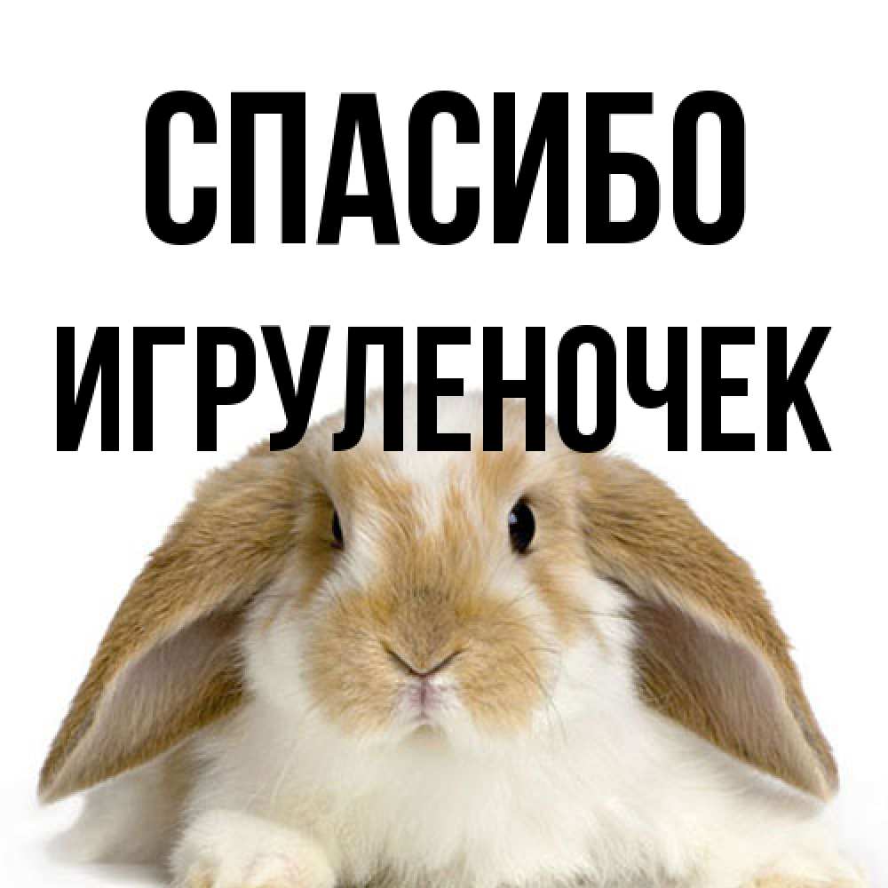 Открытка на каждый день с именем, Игpуленочек Спасибо коричнево белый заяц Прикольная открытка с пожеланием онлайн скачать бесплатно 