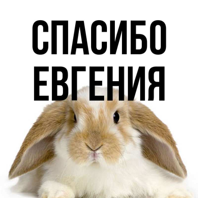 Картинка Спасибо, Евгения