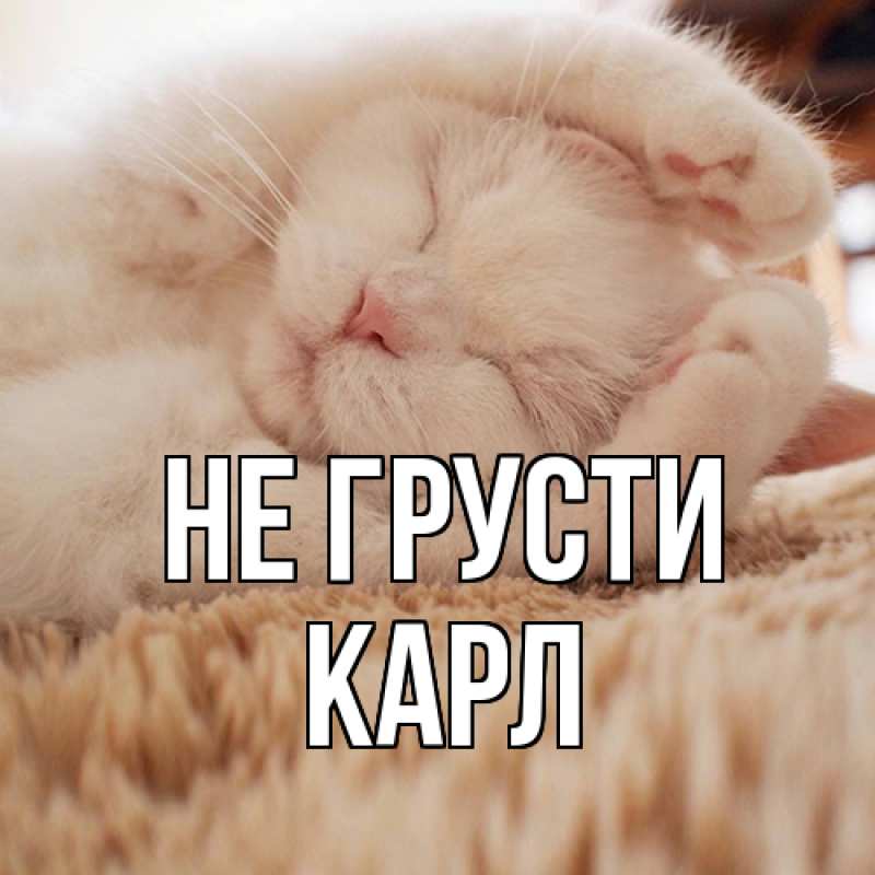 Картинка Не грусти, Карл