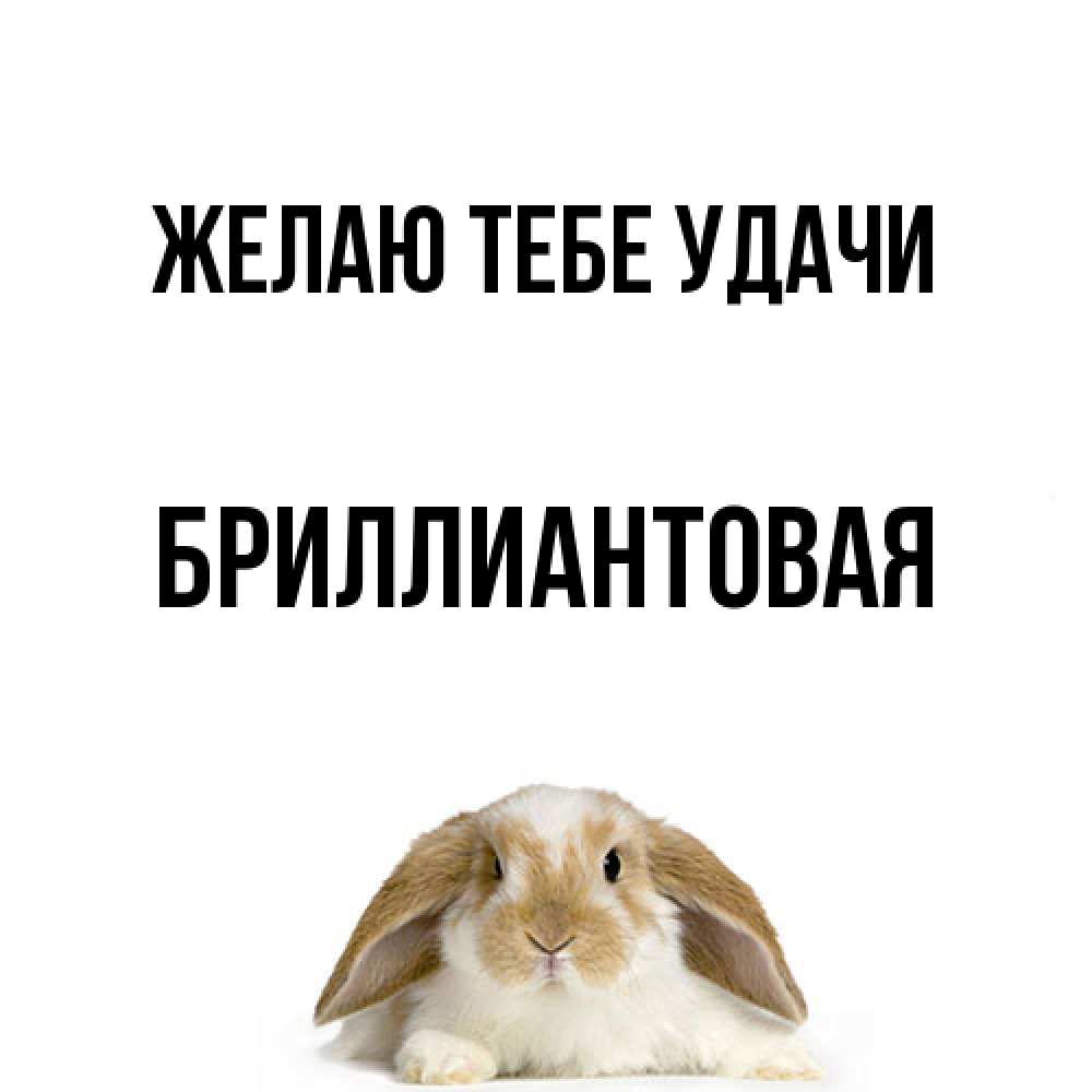 Открытка на каждый день с именем, Бpиллиантовая Желаю тебе удачи открытки с произвольным текстом который можно вставить в открытку и создать ее самостоятельно бесплатно онлайн Прикольная открытка с пожеланием онлайн скачать бесплатно 