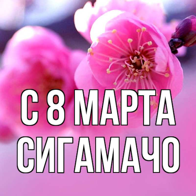 Картинка C 8 МАРТА, Сигамачо
