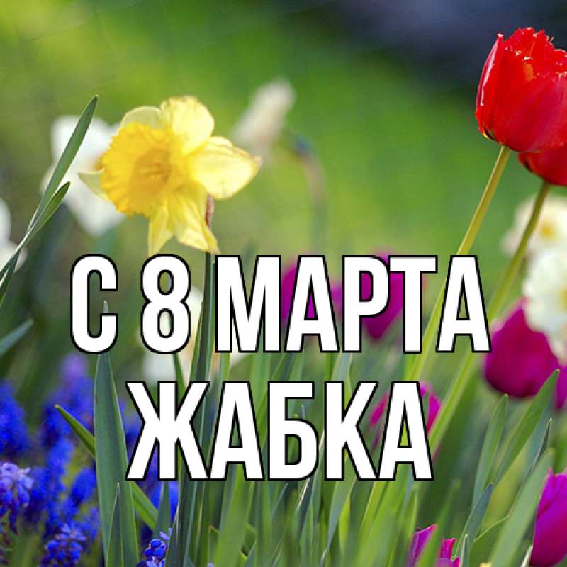 Картинка C 8 МАРТА, Жабка