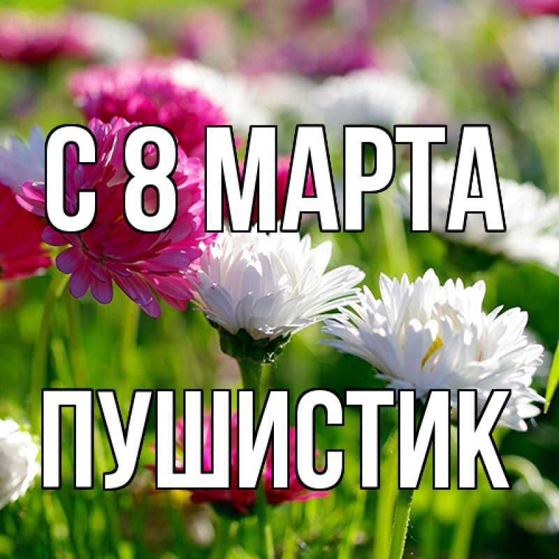 Картинка C 8 МАРТА, Пушистик