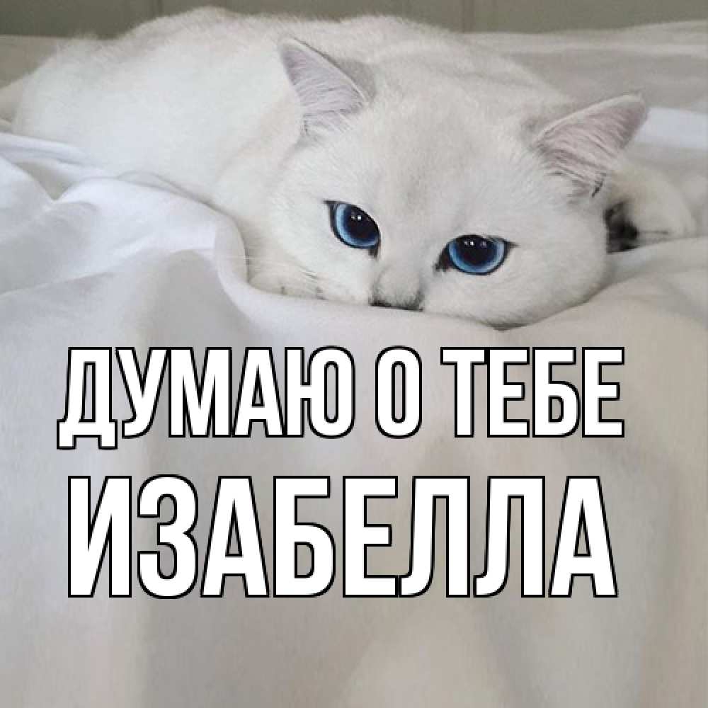 Открытка на каждый день с именем, Изабелла Думаю о тебе я очень по тебе скучаю и тоскую Прикольная открытка с пожеланием онлайн скачать бесплатно 