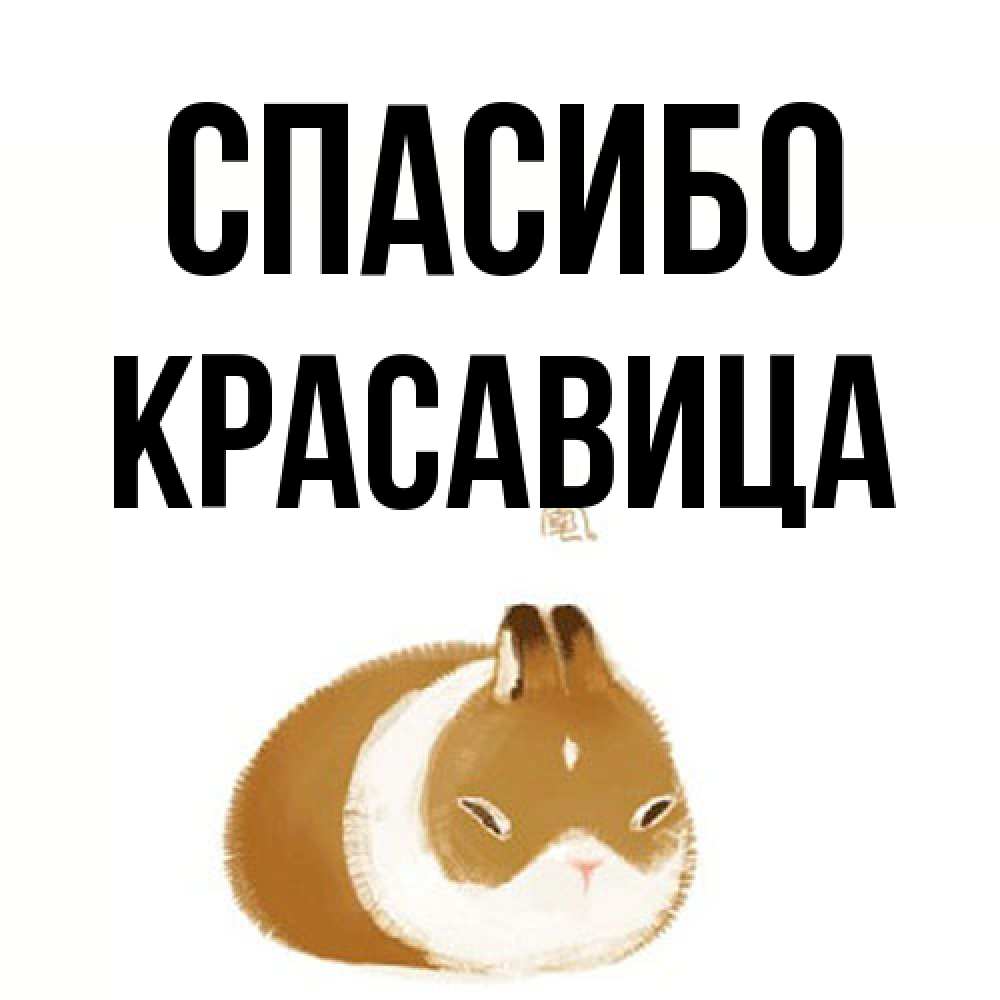 Открытка на каждый день с именем, Красавица Спасибо коричнево белый домашний питомец Прикольная открытка с пожеланием онлайн скачать бесплатно 