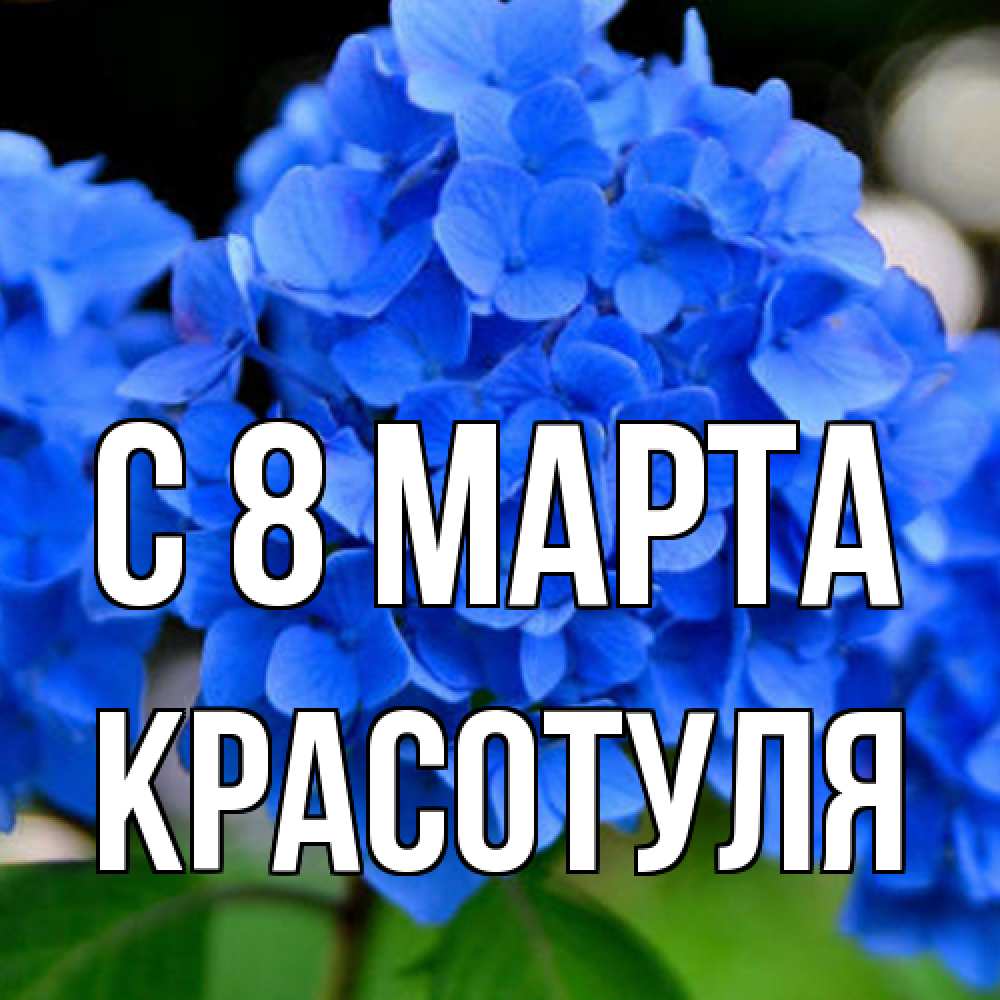 Открытка на каждый день с именем, Красотуля C 8 МАРТА синие цветы Прикольная открытка с пожеланием онлайн скачать бесплатно 