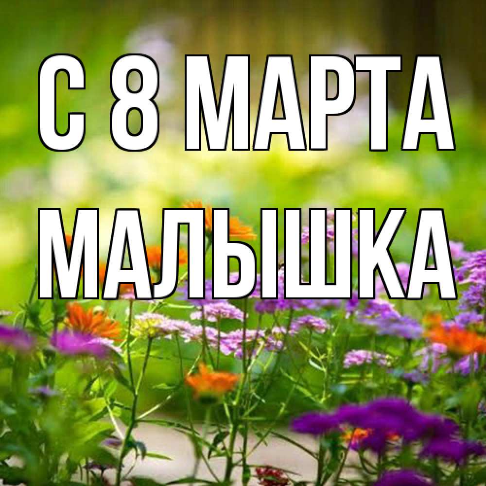 Открытка на каждый день с именем, малышка C 8 МАРТА цветы Прикольная открытка с пожеланием онлайн скачать бесплатно 