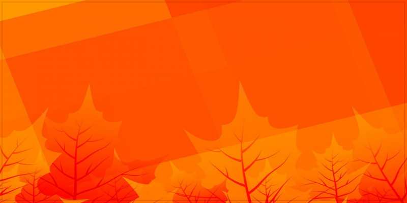 Открытка с именем, Дилара, Удачного дня