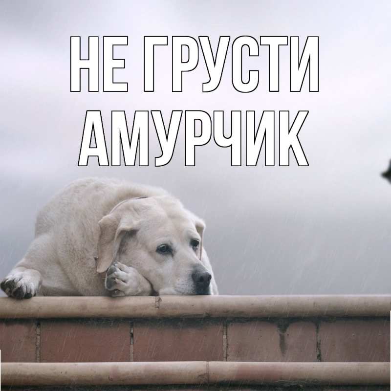 Картинка Не грусти, амурчик