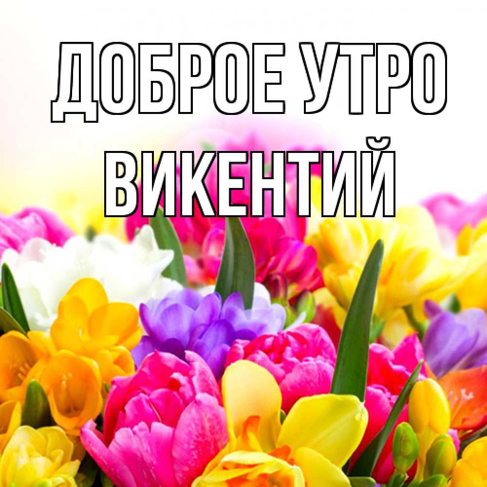 Открытка на каждый день с именем, Викентий Доброе утро создать открытку со свое подписью Прикольная открытка с пожеланием онлайн скачать бесплатно 
