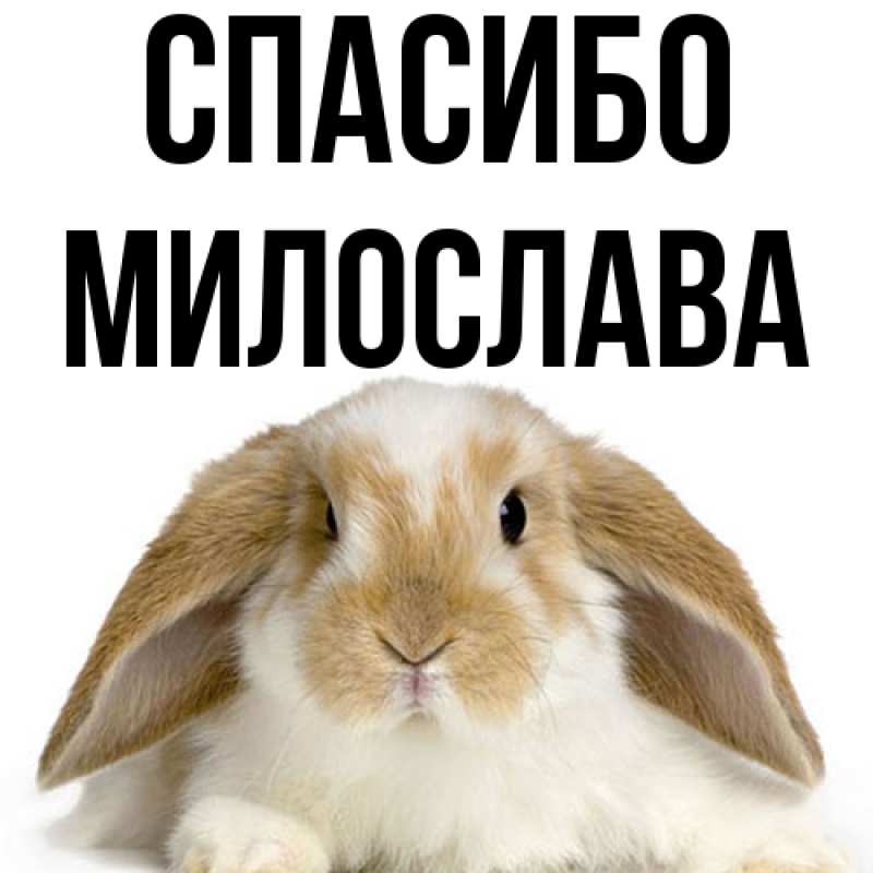 Картинка Спасибо, Милослава