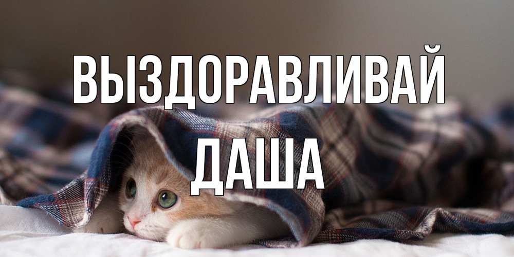 Открытка на каждый день с именем, Даша Выздоравливай не болейте с котиком Прикольная открытка с пожеланием онлайн скачать бесплатно 
