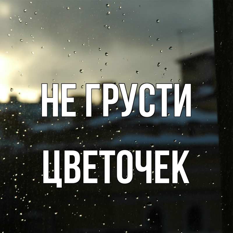 Картинка Не грусти, Цветочек