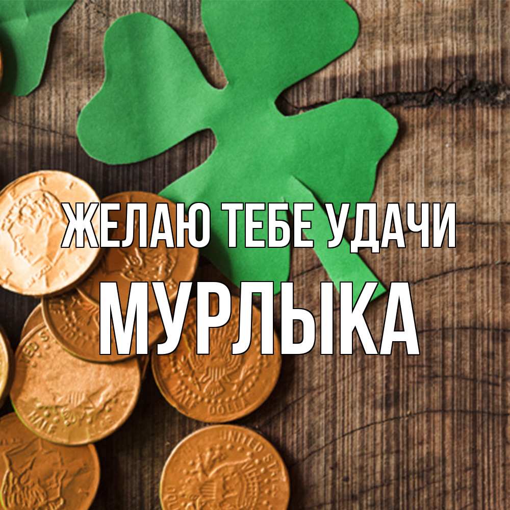 Открытка на каждый день с именем, мурлыка Желаю тебе удачи деревянный фон Прикольная открытка с пожеланием онлайн скачать бесплатно 