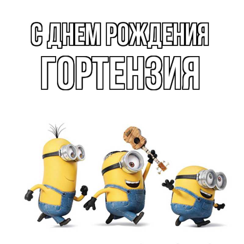 Картинка С днем рождения, Гортензия