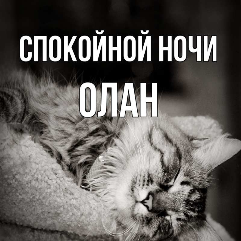Картинка Спокойной ночи, Олан