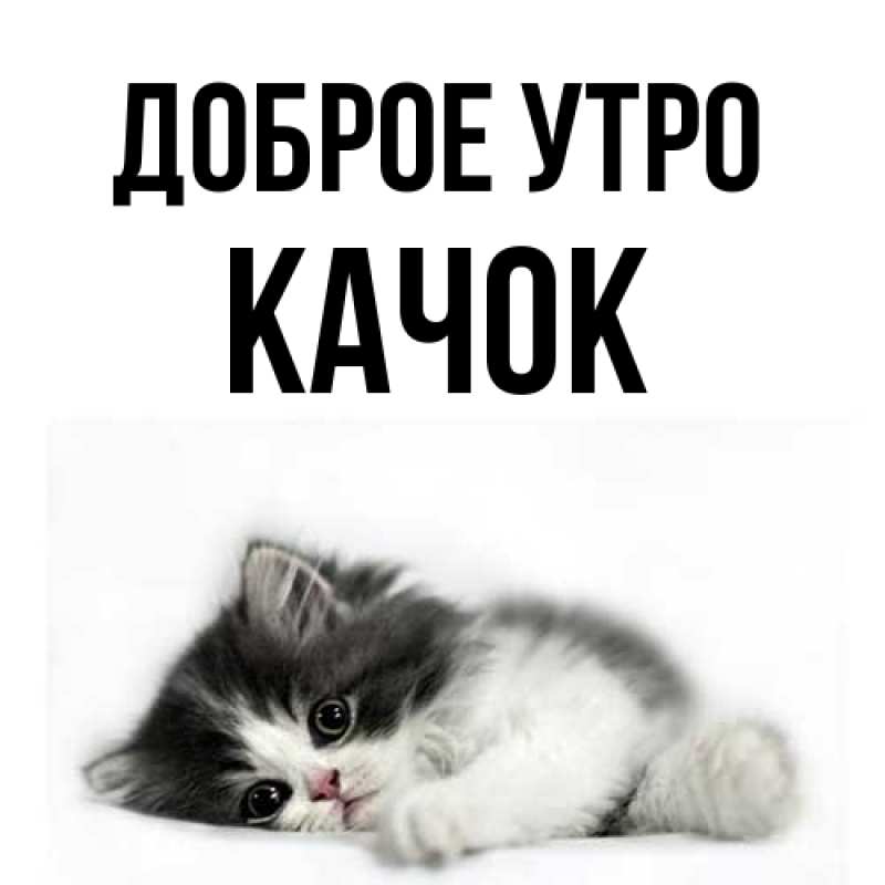 Картинка Доброе утро, Качок