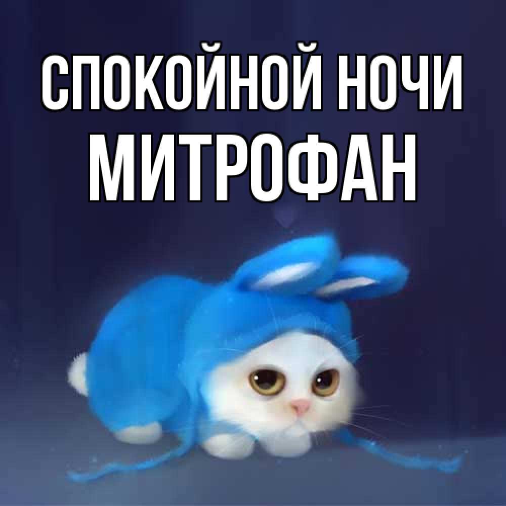 Открытка на каждый день с именем, Митрофан Спокойной ночи кот в голубом костюме кролика с ушками Прикольная открытка с пожеланием онлайн скачать бесплатно 