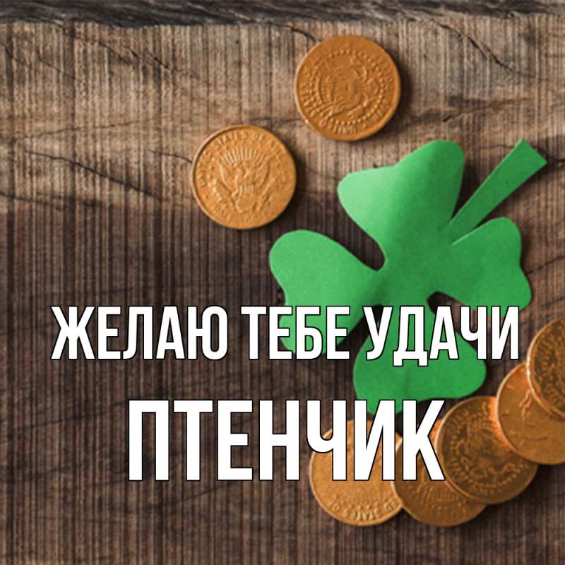 Картинка Желаю тебе удачи, Птенчик