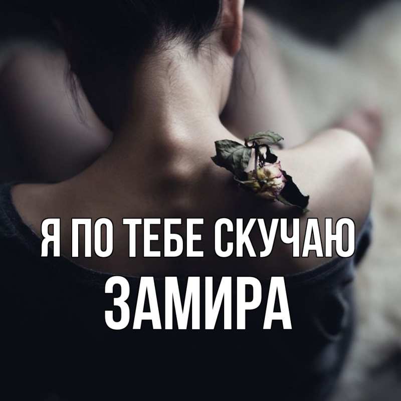 Картинка Я по тебе скучаю, Замира