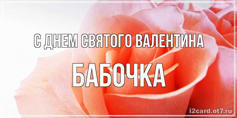 Открытка на каждый день с именем, Бабочка С днем Святого Валентина открытка на день Святого Валентина с розовой розой Прикольная открытка с пожеланием онлайн скачать бесплатно 