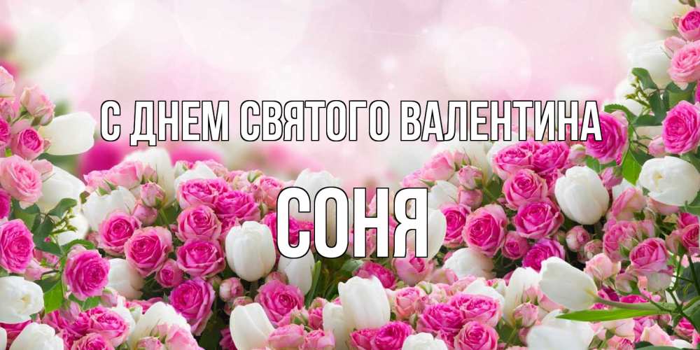 Открытка на каждый день с именем, Соня С днем Святого Валентина валентинка с именем Прикольная открытка с пожеланием онлайн скачать бесплатно 