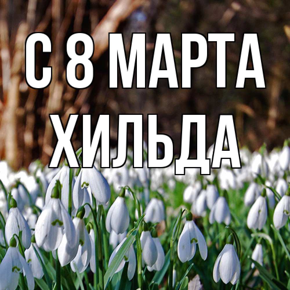 Открытка на каждый день с именем, Хильда C 8 МАРТА с подснежниками 1 Прикольная открытка с пожеланием онлайн скачать бесплатно 