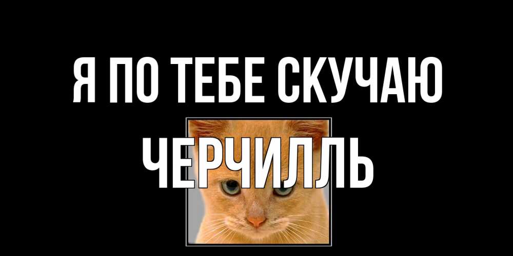 Открытка на каждый день с именем, Черчилль Я по тебе скучаю открытки рыжий котенок скучает по тебе Прикольная открытка с пожеланием онлайн скачать бесплатно 