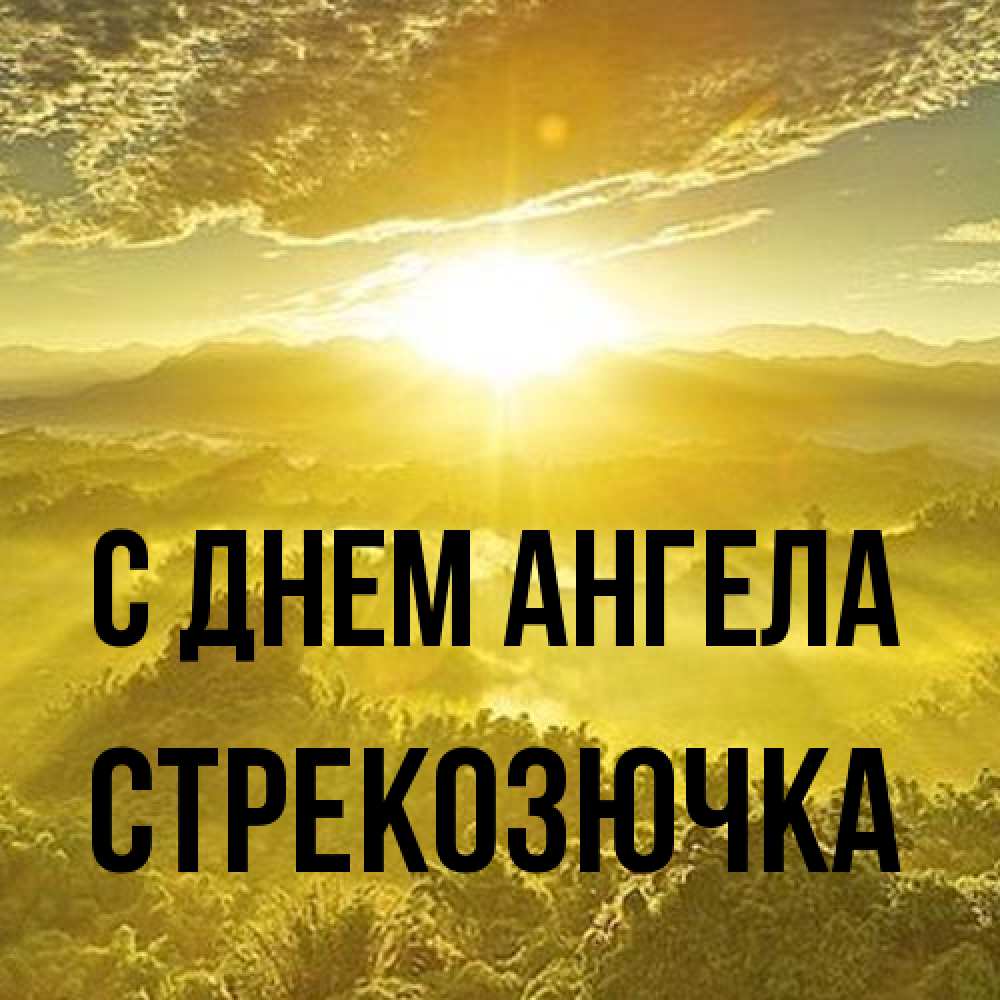 Открытка на каждый день с именем, Стрекозючка С днем ангела леса и небо в желтом Прикольная открытка с пожеланием онлайн скачать бесплатно 