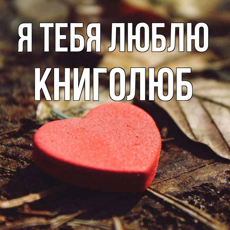 Картинка Я тебя люблю, Книголюб