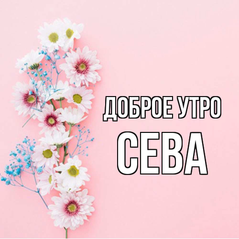 Открытка на каждый день с именем, Сева Доброе утро цветы с подписью Прикольная открытка с пожеланием онлайн скачать бесплатно 
