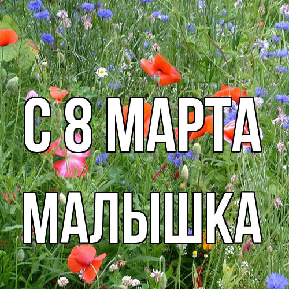 Открытка на каждый день с именем, малышка C 8 МАРТА международный женский день 4 Прикольная открытка с пожеланием онлайн скачать бесплатно 