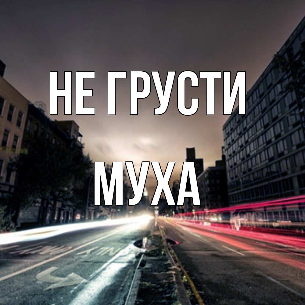 Открытка на каждый день с именем, Муха Не грусти съемка ночью Прикольная открытка с пожеланием онлайн скачать бесплатно 