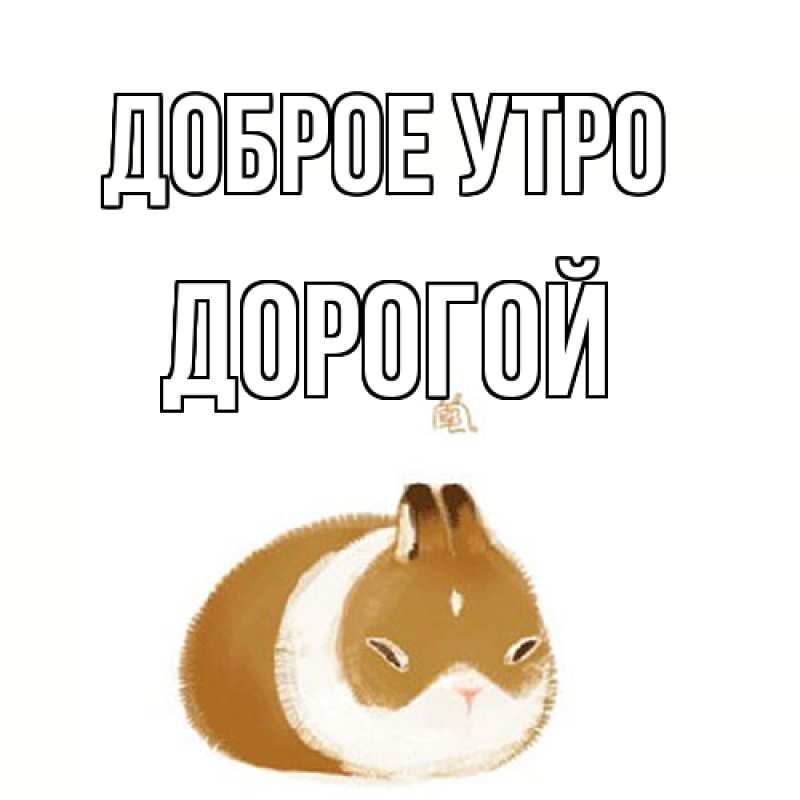 Картинка Доброе утро, Дорогой