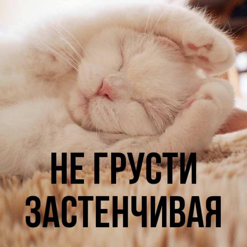 Картинка Не грусти, Застенчивая