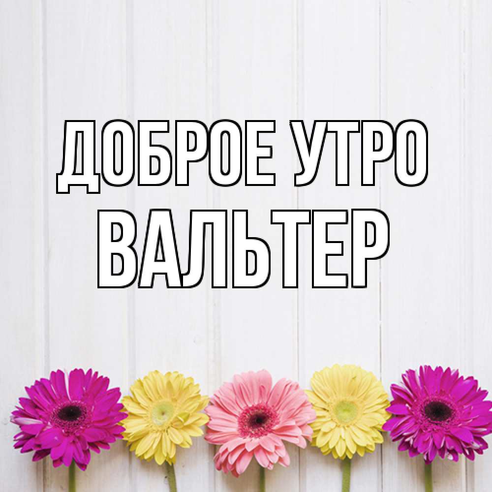 Открытка на каждый день с именем, Вальтер Доброе утро красный желтый и розовый цветок Прикольная открытка с пожеланием онлайн скачать бесплатно 