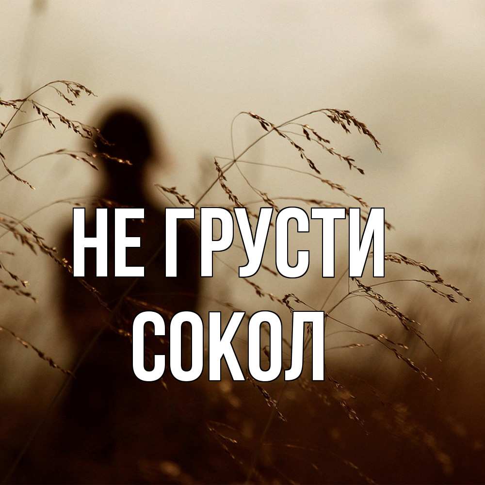 Открытка на каждый день с именем, Сокол Не грусти грусть Прикольная открытка с пожеланием онлайн скачать бесплатно 