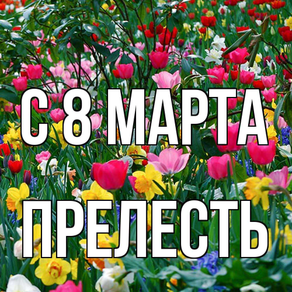 Открытка на каждый день с именем, прелесть C 8 МАРТА с международным женским днем поздравления для женщины Прикольная открытка с пожеланием онлайн скачать бесплатно 