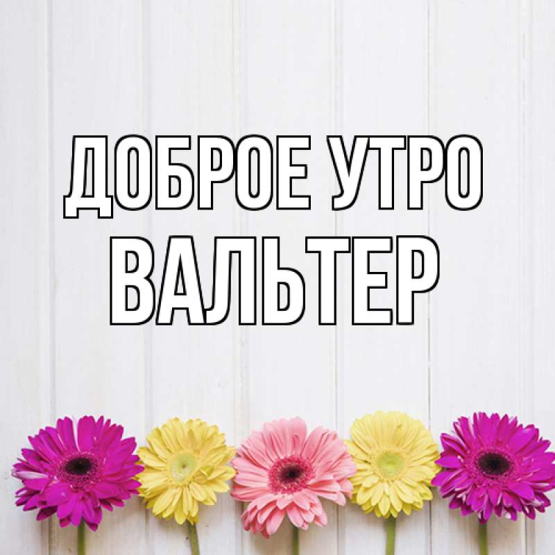 Картинка Доброе утро, Вальтер