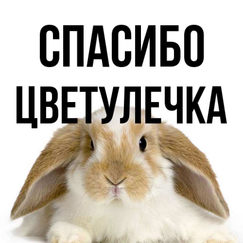 Картинка Спасибо, Цветулечка