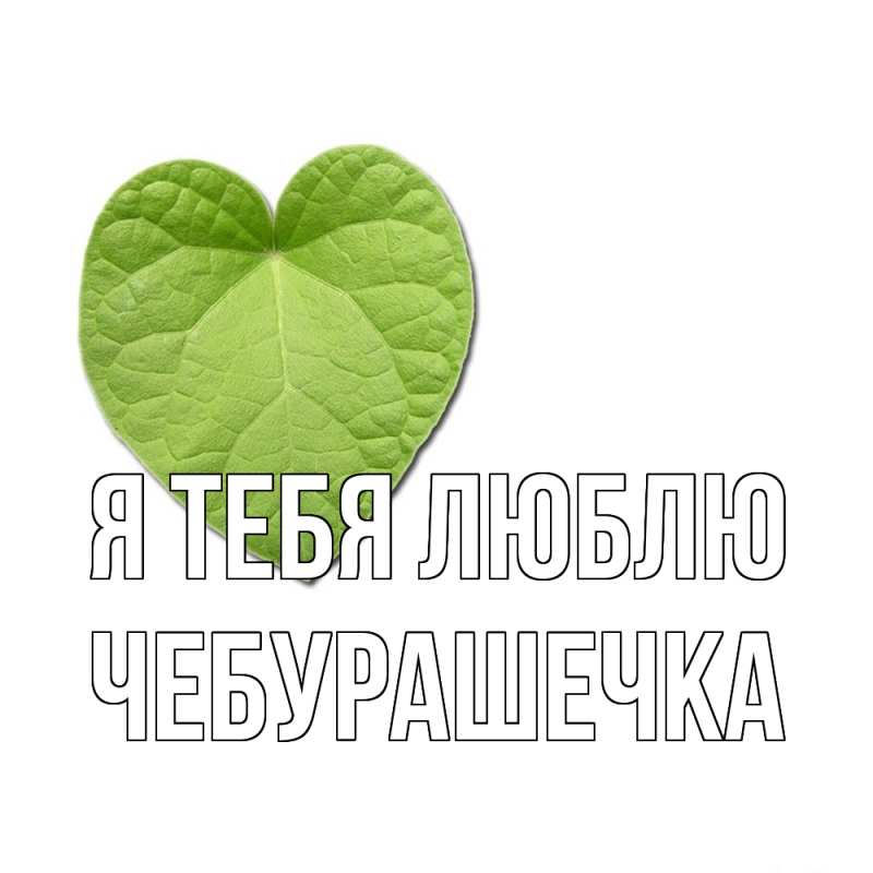 Картинка Я тебя люблю, Чебурашечка