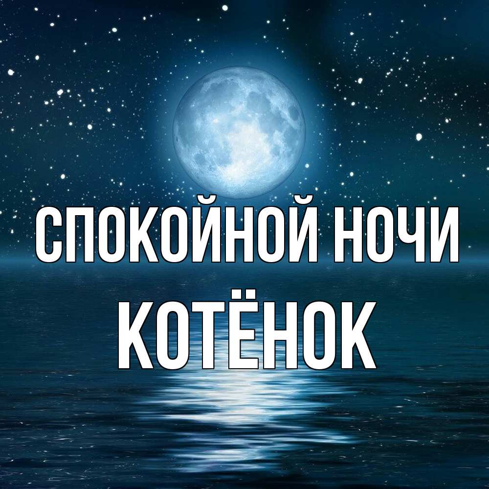 Открытка на каждый день с именем, Котёнок Спокойной ночи звезды Прикольная открытка с пожеланием онлайн скачать бесплатно 