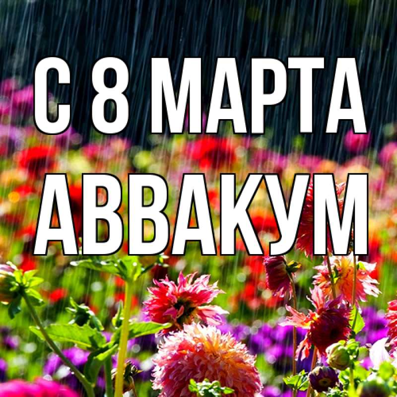Картинка C 8 МАРТА, Аввакум