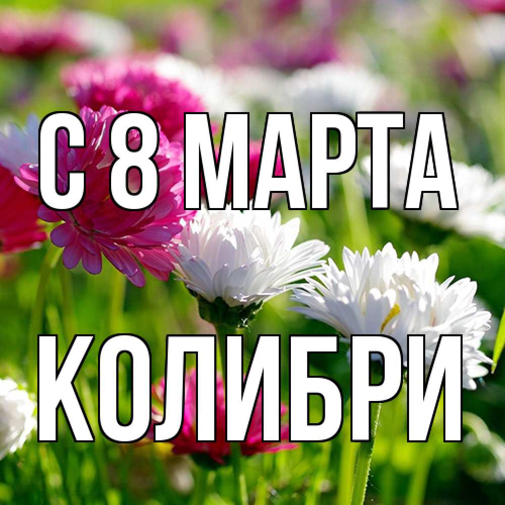 Открытка на каждый день с именем, Колибри C 8 МАРТА международный женский день 1 Прикольная открытка с пожеланием онлайн скачать бесплатно 