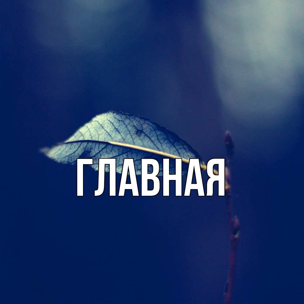 Открытка на каждый день с именем, настя Главная одна ветка 1 Прикольная открытка с пожеланием онлайн скачать бесплатно 