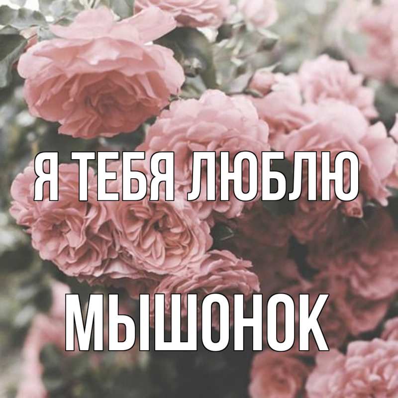 Картинка Я тебя люблю, Мышонок