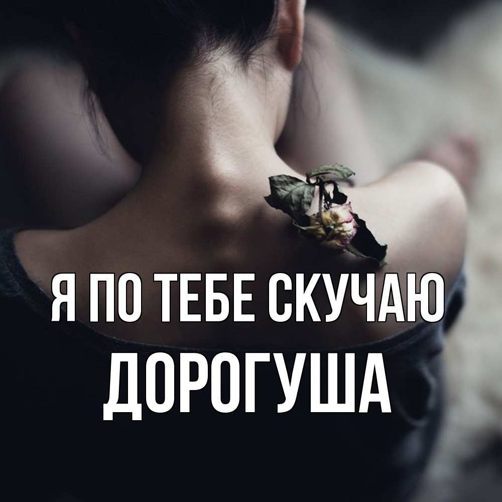 Открытка на каждый день с именем, дорогуша Я по тебе скучаю засох цветок Прикольная открытка с пожеланием онлайн скачать бесплатно 